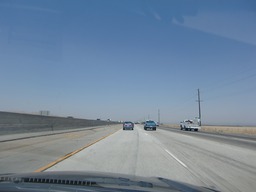 100809_4.jpg