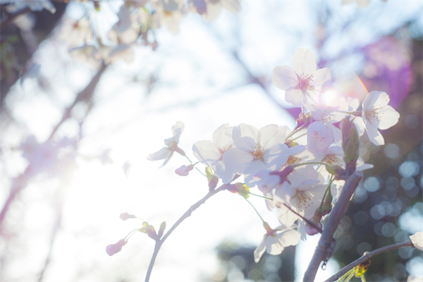 150523_1.png